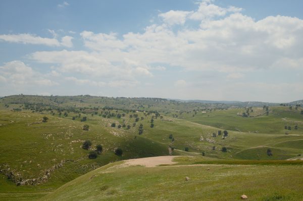 Vast landscape of green hills under a clear blue sky with scattered clouds Nature 4K