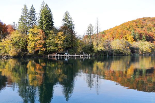 Vibrant autumn foliage reflects in the waters of Plitvice Lakes National Park, Croatia, on a sunny day. Nature 4K