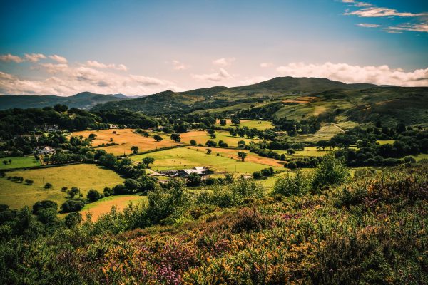 Vibrant summer landscape view of the countryside in Conwy, Wales, featuring hills and greenery. Nature 4K