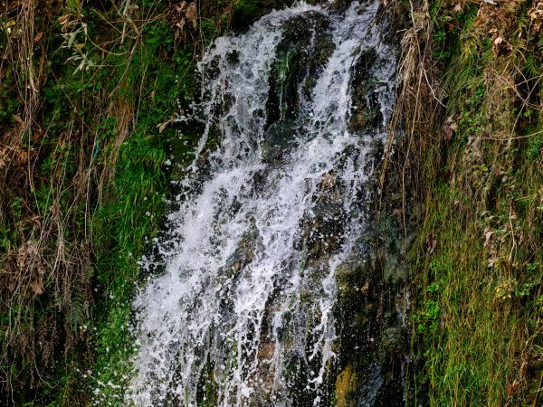 Vibrant waterfall cascading over rocks surrounded by lush greenery and moss. Nature 4K