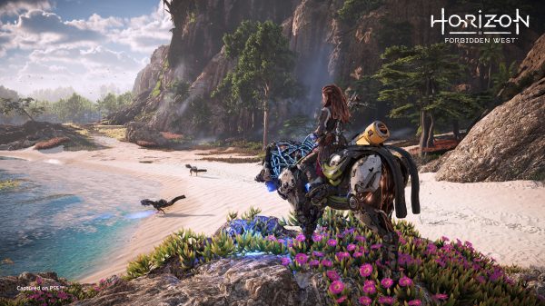 Video games, Horizon Forbidden West, Aloy (Horizon: Zero Dawn) Video Game Characters 4K