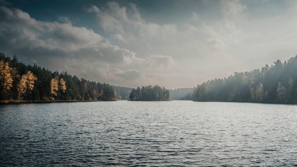 Viitna Lake in autumn, surrounded by golden trees under a cloudy sky. Nature 4K