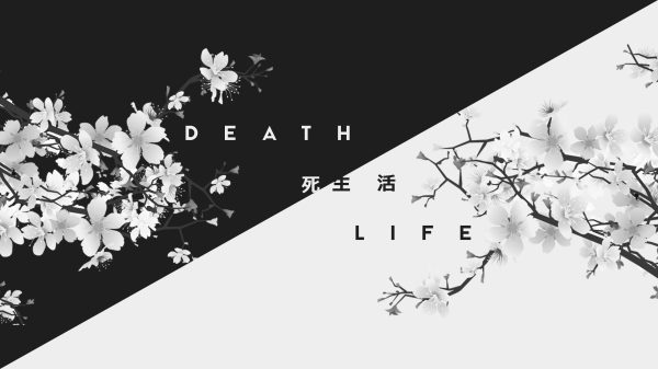 Flowers, white, artwork Manga 4K