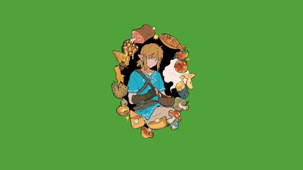 Link, The Legend of Zelda, blonde Gaming 4K